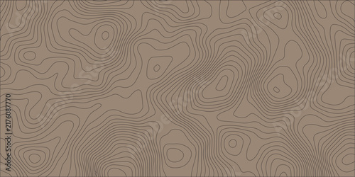 Contour topography map texture, Seamless elevation lines, Cartographic terrain pattern, Brown monoline vector background, Hiking landscape design, Paper wrap aesthetic