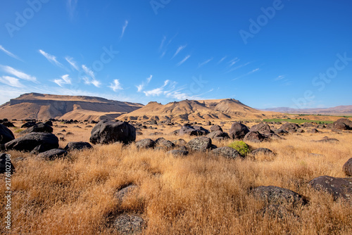 basalt melon gravels depositied by the Bonneville Flood near the Snake River, Idaho
