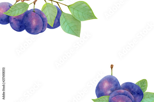 Bild auf Leinwand Horizontal frame with plums and leaves