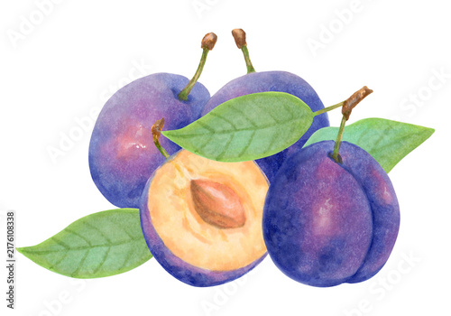 Bild auf Leinwand Composition of a whole plum, half, leaf