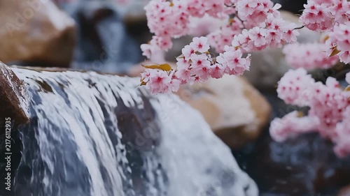 Cascading Waterfalls Flow beneath Weeping Cherry Blossoms in Lush Japanese Spring Garden for Peaceful Scenic Nature Video
