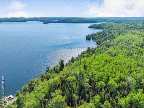 Photography Aerial view of commercial forestry landscape showing dense woodland exterior adj