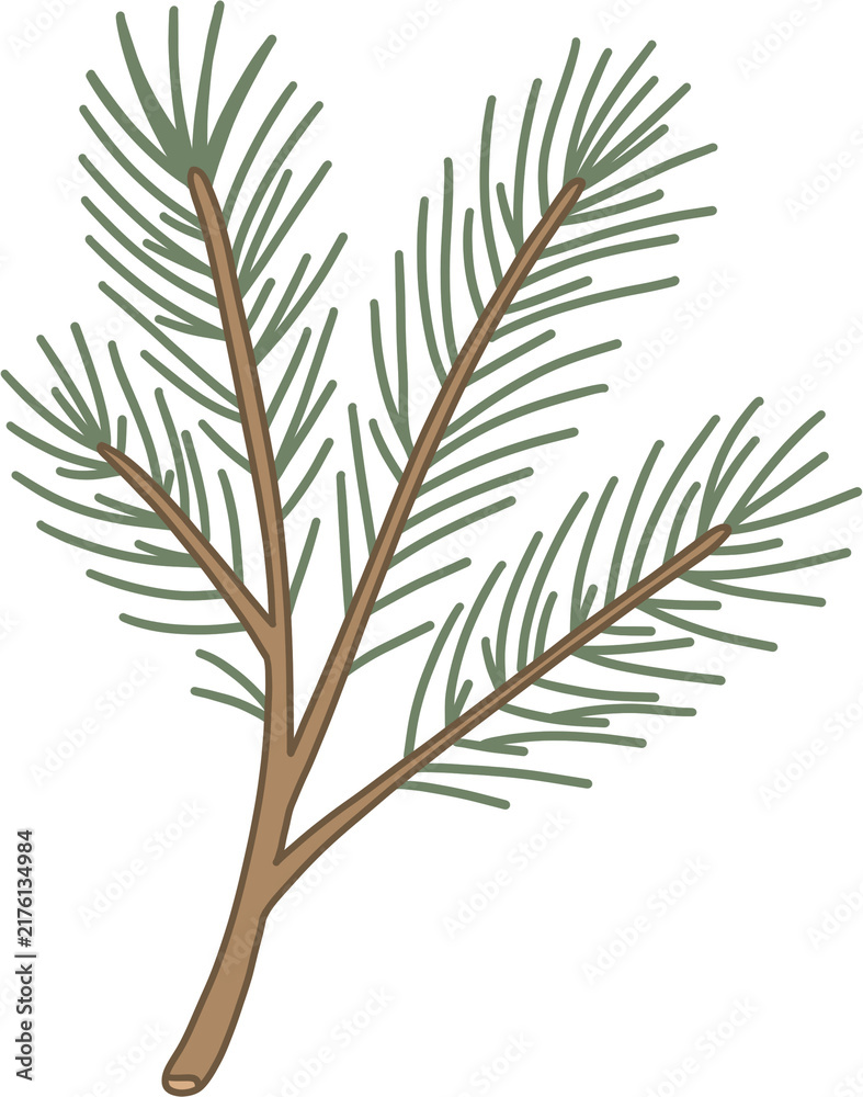 Fototapeta premium Pine branch vector illustration, evergreen needle foliage design element