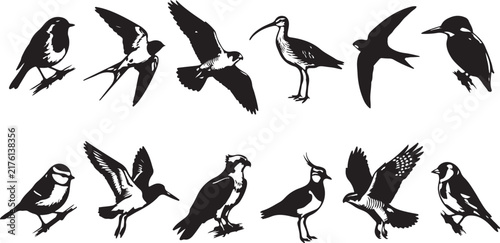 Set of high quality silhouette illustrations featuring various wild birds in flying and perching poses isolated on white background