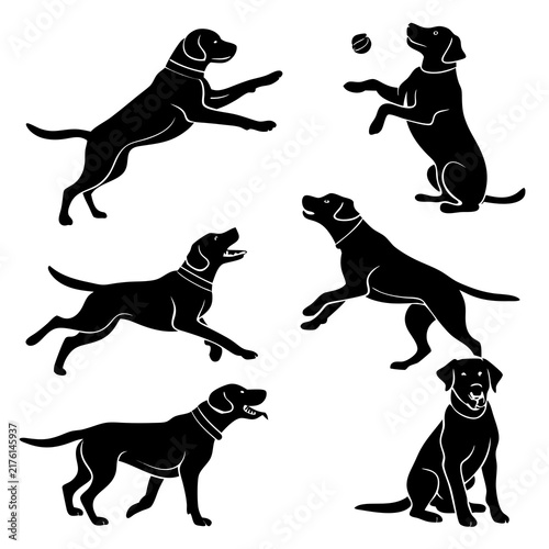 Set of black silhouettes featuring various poses of a playful dog isolated on white background with running sitting interacting postures with postures