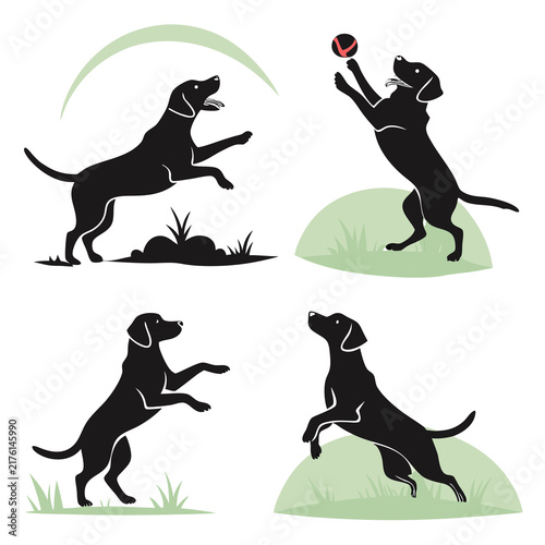 A set of four black labrador retriever silhouettes playing outdoors on green grass icons with silhouettes various playful clean white background