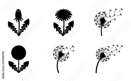 Dandelion Vector Icons Set, Blooming and Seed Dispersal Silhouettes, Nature Elements for Design