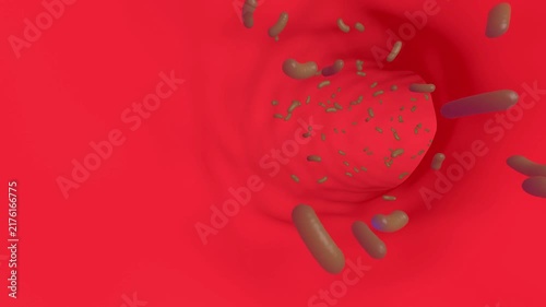 Bacterium inside organism medical bg able to loop endless 4k