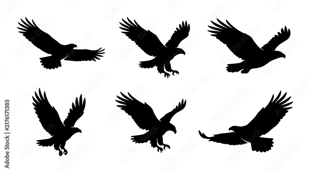 Fototapeta premium Eagle Silhouette Set, Majestic Bird Vector Icons, Predatory Raptor Flying Poses, Wildlife Graphic Elements, Black and White Avian Collection