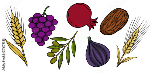 Sukkot holiday symbols vector set with wheat, grapes, pomegranate, date, olives and fig