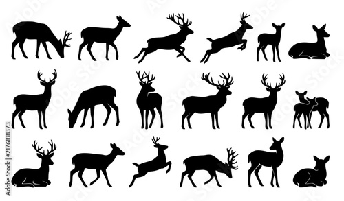 Deer Silhouette Icon Set with Black Vector Shapes of Stag, Doe, and Fawn for Wildlife, Nature, and Forest Designs