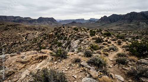 Fotografía Arid rocky landscape with sparse vegetation under overcast sky