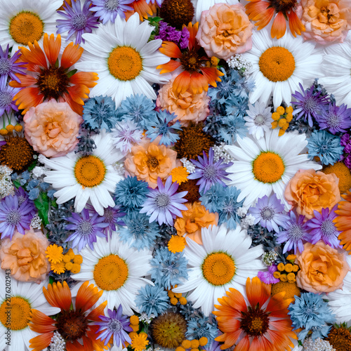 Square Flat Lay Floral Background With Assorted Flower Heads Arranged. Background with Beautiful Flowers Top View Vertical 