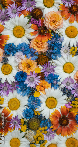 Vertical Floral Flat Lay Background With Colorful Assorted Flower Heads. Background with Beautiful Flowers Top View Vertical 