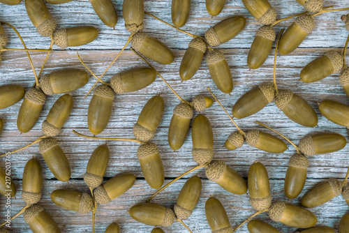 Olive Toned Acorns Arranged On Rustic Wooden Boards From Above