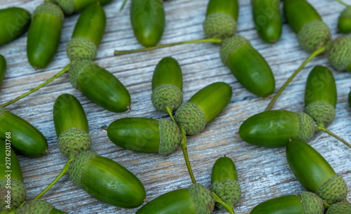 Close Up Of Green Acorns With Stems On Rustic Wood Surface