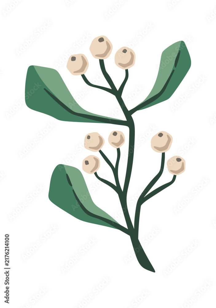 Naklejka premium Mistletoe Branch With Berries Botanical Cartoon