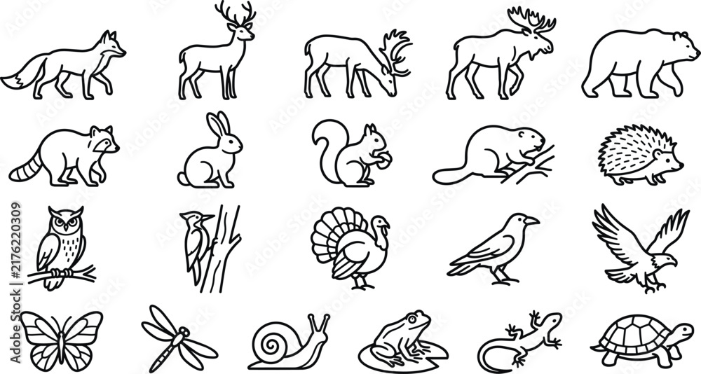 Obraz premium Forest animal line icons featuring woodland wildlife and insects.