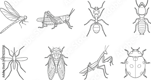 Insect Line Art Vector Set Featuring Common Species in Minimalist Black and White Outline Style