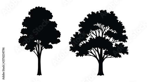 Two tree silhouettes against a white background detailed foliage