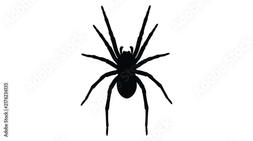Black spider silhouette against a white background a simple graphic form