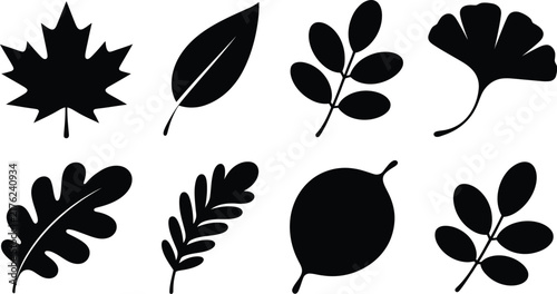 Set of black leaf silhouettes featuring various botanical shapes including maple, oak, and ginkgo leaves, isolated on a white background, for nature and, environmental projects