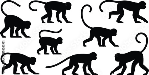Set of black monkey silhouettes showing various walking and standing positions, isolated on a white background, for wildlife, jungle, and animal themed projects