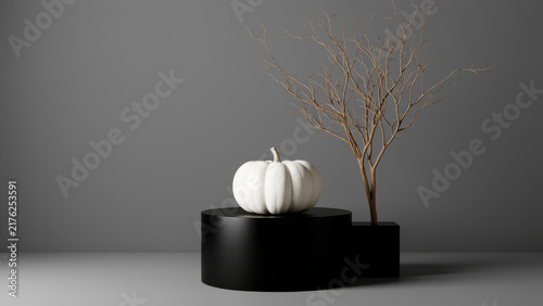 Single white pumpkin on a black pedestal against a dark minimalist background creating an elegant modern Halloween still life with monochrome contrast seasonal decor and copy space