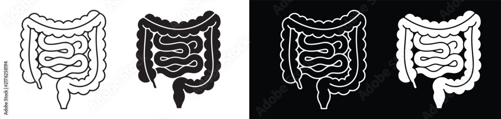 Fototapeta premium Medical human digestive system showing intestines in illustration of different styles and color variations