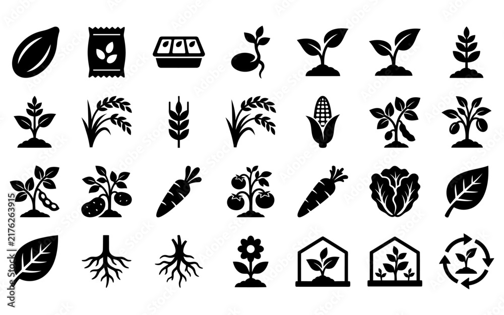 Obraz premium Agricultural seed germination and plant growth stage black icons for farming education.