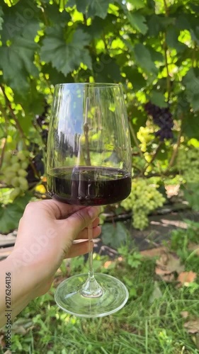 Woman Hand Holding Red Wine Glass In Vineyard Video