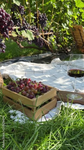 Vineyard Picnic With Red Wine Glass And Grapes Video