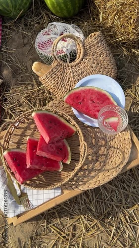 Summer Picnic Blanket With Watermelon Slices And Open Book Video