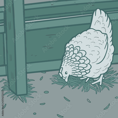 Chicken hen vector sketch
