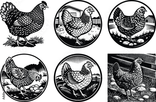 Chicken hen vector sketch