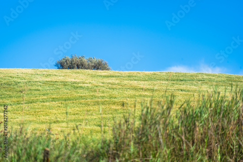 Sicilian Countryside near Favara, Agrigento, Sicily, Italy, Europe