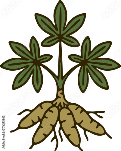 Bild auf Leinwand Stylized Cassava Plant with Leaves and Tuberous Roots Illustration - Manioc, Yuc