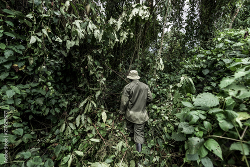 Canvas Print Ranger patrolling dense forest in virunga congo
