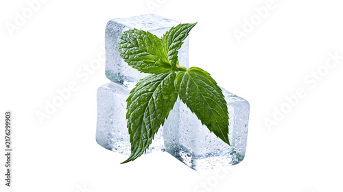 Fresh green mint leaves resting on two clear melting ice cubes with water droplets