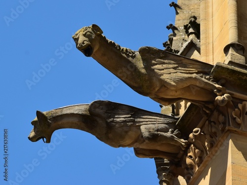 Gargouilles sur la façade de la cathédrale Saint-Etienne de Metz