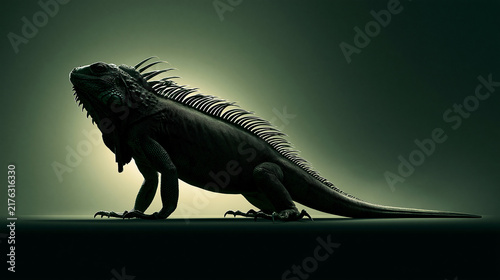 Iguana silhouette standing against dark green background