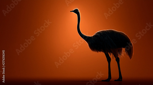 Ostrich silhouette standing against vivid orange background