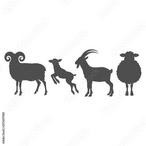 Flat Vector Illustration Set of Horned Ram Jumping Lamb Horned Goat and Sheep