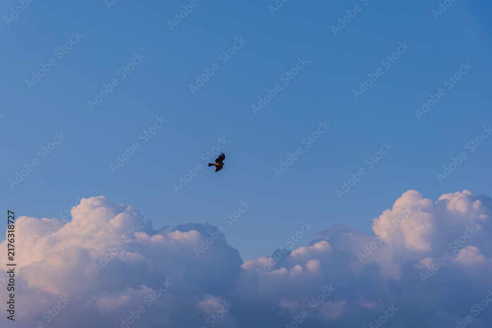 雲の上」の写真素材 | 97,825件の無料イラスト画像 | Adobe Stock