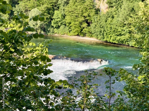 Fotografía White water rapids churning through emerald green river framed by lush summer fo