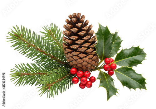 Christmas pine cone holly branch isolated on transparent background