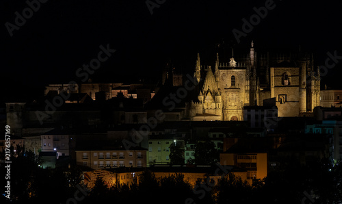 Illuminated Plasencia Cathedral above city buildings at night.