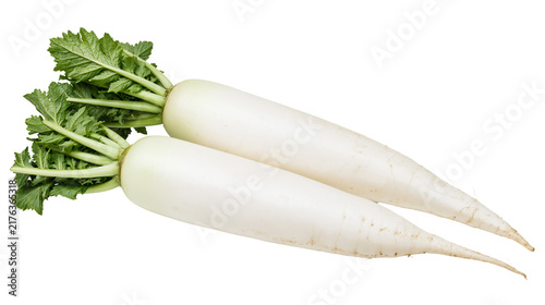 Two fresh raw white daikon radishes with green leafy tops