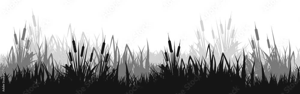Obraz premium Meadow silhouette with grass, plants on plain. Panoramic summer lawn landscape with herbs, various weeds. Herbal border, frame element. Black horizontal banners. Vector illustration