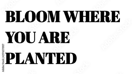 Bloom Where You Are Planted Inspirational Quote Typography Text Design